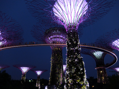 DSCF6818.JPG