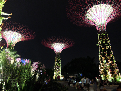 DSCF6843.JPG