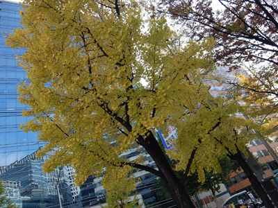 DSCF3561.JPG