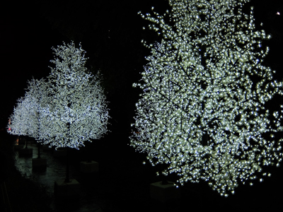 DSCF3597.JPG