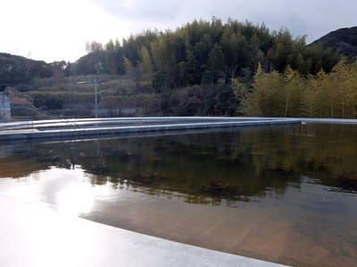 DSCF4088.JPG