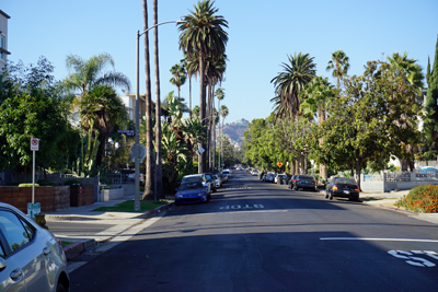 DSC07737.JPG