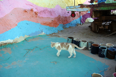 DSC07887.JPG