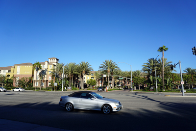 DSC07912.JPG
