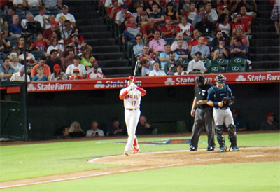 DSC08056.JPG