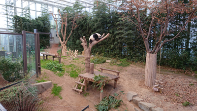 DSC_0030_1.JPG