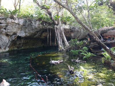 DSCF6324.JPG