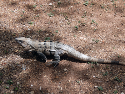 DSCF6339.JPG