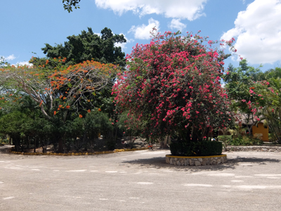 DSCF6397.JPG