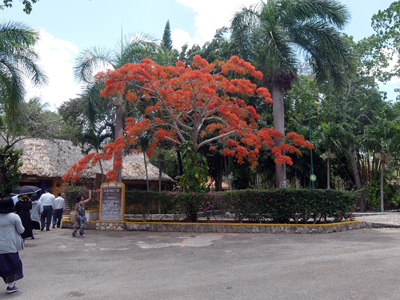 DSCF6398.JPG