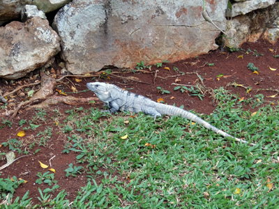 DSCF6399.JPG
