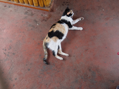 DSCF6418.JPG