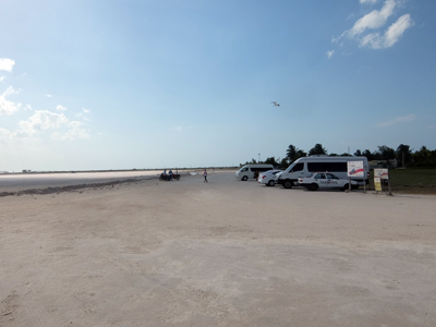 DSCF6423.JPG