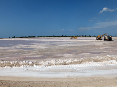 DSCF6430.JPG