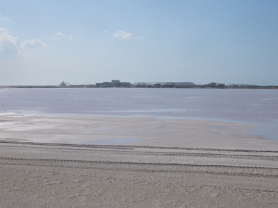 DSCF6439.JPG