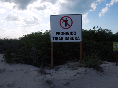 DSCF6464.JPG