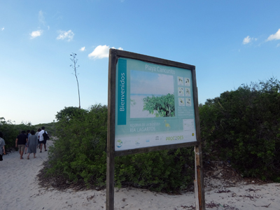 DSCF6465.JPG