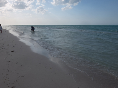 DSCF6471.JPG