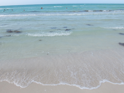 DSCF6474.JPG
