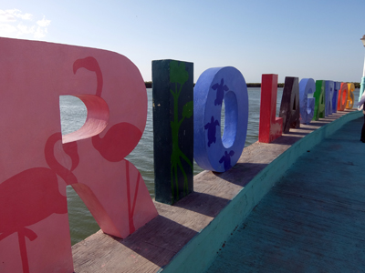 DSCF6490.JPG