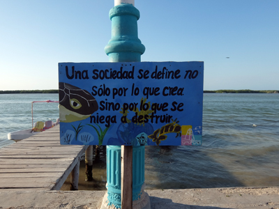 DSCF6496.JPG