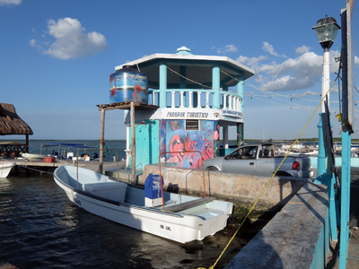 DSCF6501.JPG