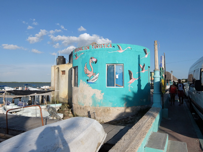DSCF6503.JPG