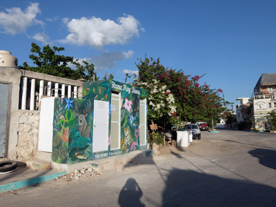 DSCF6508.JPG