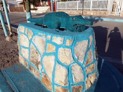 DSCF6511.JPG