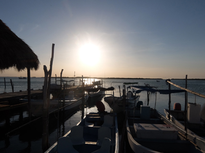 DSCF6516.JPG