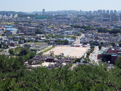 DSCF6782.JPG
