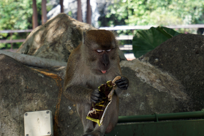 DSC02078.JPG