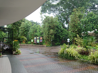 DSC_8806.JPG