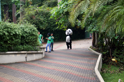 DSC02785.JPG