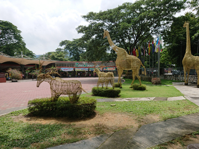 DSC_8841.JPG