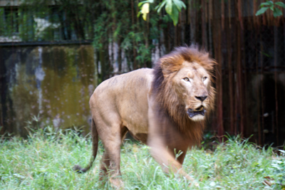 DSC02852.JPG