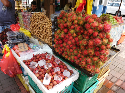 DSC_8854.JPG