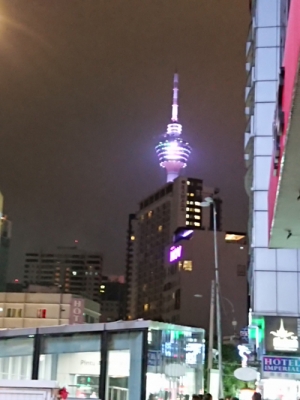 DSC_8876.JPG