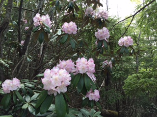 甲武信ヶ岳