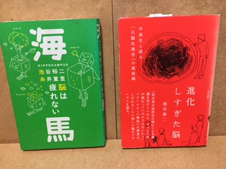 海馬