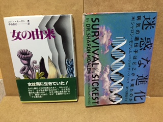 女の進化