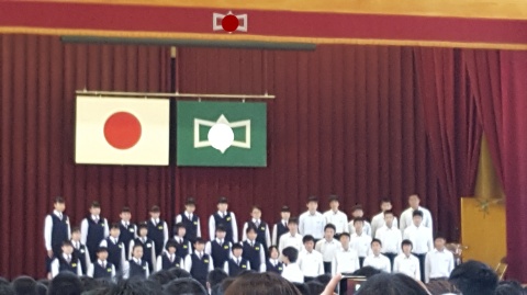 15415024885210.jpg