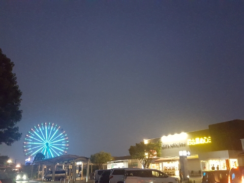 15615103543921.jpg