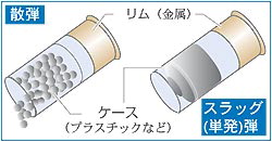 散弾とスラッグ弾