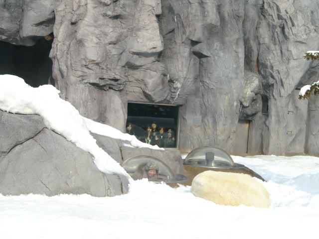 旭山