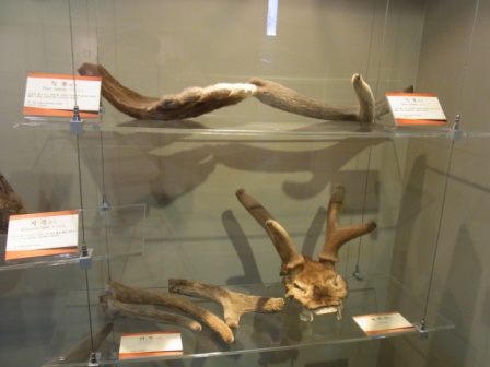 RIMG0567.JPG