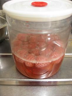 いちご酵母