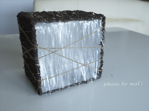 ice-needle-2