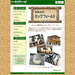 有限会社ビッグフィールド サイトオープン