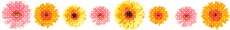 214645_20.gif